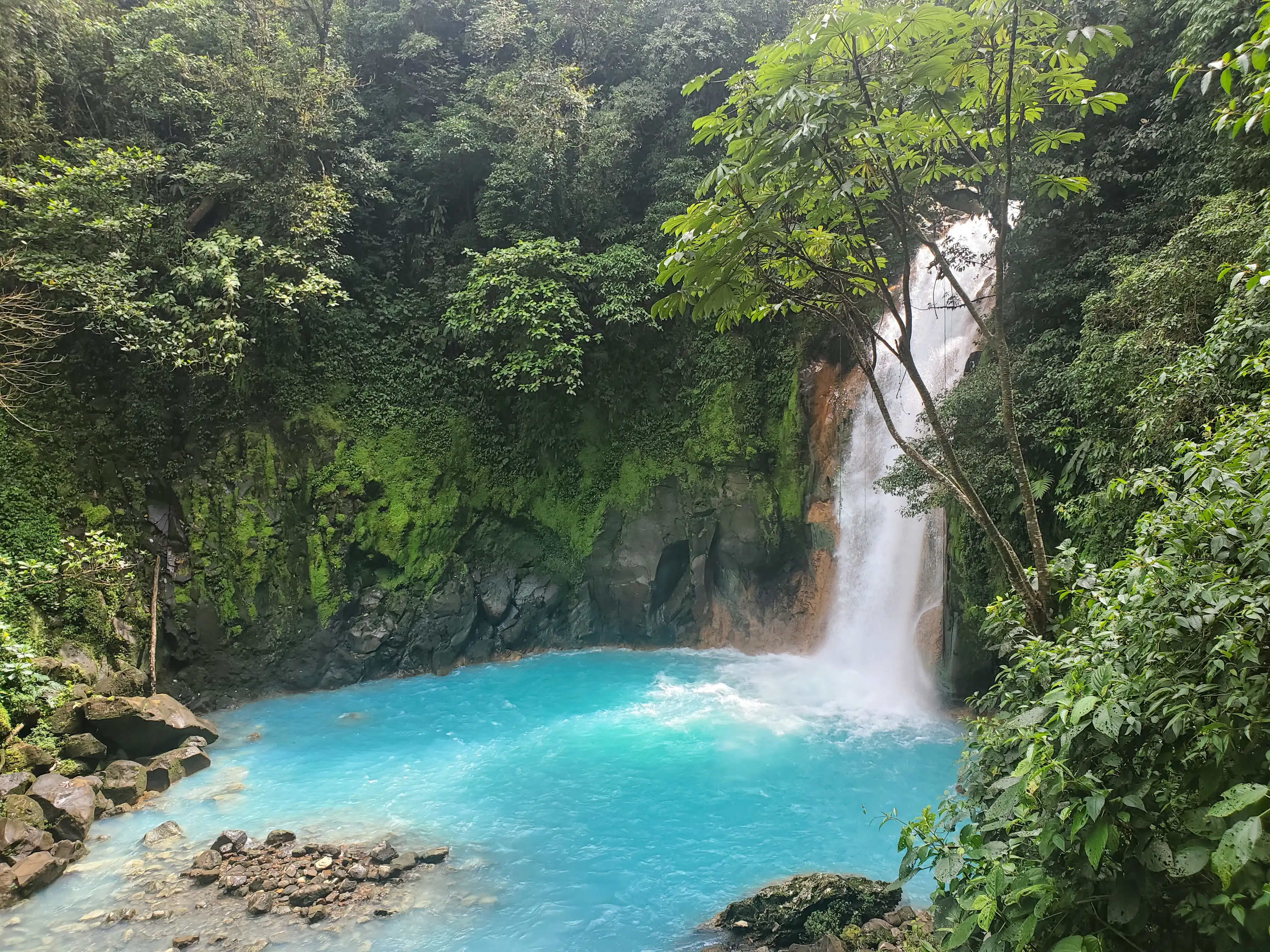Tenorio National Park